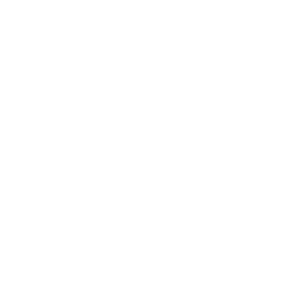 Maestro Active (SCM)